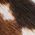 Color Swatch - Animal