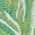 Color Swatch - Green