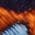 Color Swatch - Orange