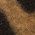 Color Swatch - Leopard