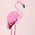 Color Swatch - Pink