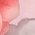 Color Swatch - Pink