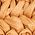Color Swatch - Tan