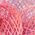 Color Swatch - Pink