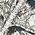 Color Swatch - Silver