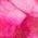 Color Swatch - Pink