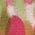 Color Swatch - Pink