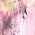 Color Swatch - Floral
