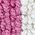 Color Swatch - Pink