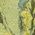 Color Swatch - Green