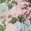 Color Swatch - Floral