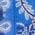 Color Swatch - Blue