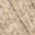 Color Swatch - Ivory