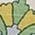 Color Swatch - Green