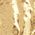 Color Swatch - Gold