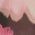 Color Swatch - Pink