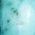 Color Swatch - Blue