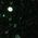 Color Swatch - Black