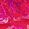 Color Swatch - Pink