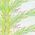 Color Swatch - Green