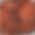 Color Swatch - Orange