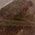 Color Swatch - Brown