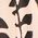 Color Swatch - Tan