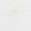 Color Swatch - White