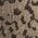 Color Swatch - Brown