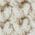 Color Swatch - Ivory