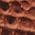 Color Swatch - Brown