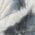 Color Swatch - White
