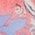 Color Swatch - Pink