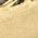 Color Swatch - Gold