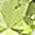 Color Swatch - Sterling Peridot