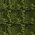 Color Swatch - Green