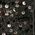 Color Swatch - Black