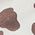 Color Swatch - Animal