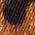 Color Swatch - Black Brown