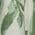 Color Swatch - Green