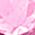 Color Swatch - Sterling Pink Sapphire