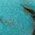 Color Swatch - Blue