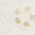 Color Swatch - Ivory