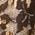 Color Swatch - Brown