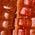 Color Swatch - Orange