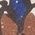 Color Swatch - Brown