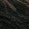 Color Swatch - Brown