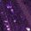 Color Swatch - Purple