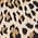 Color Swatch - Animal