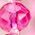 Color Swatch - Multi/Pink